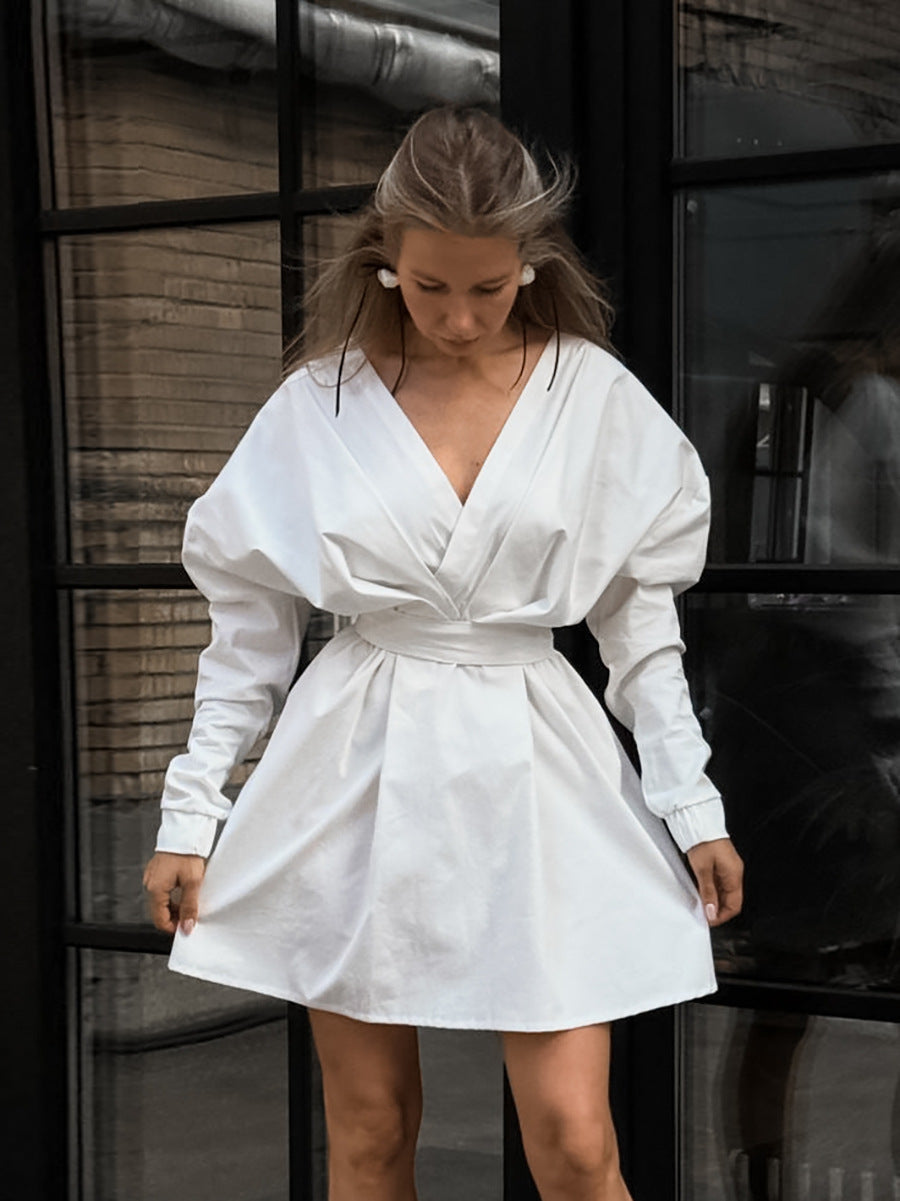 Dresses | Women’s Deep V-Neck Ruched Long Sleeve Mini Dress