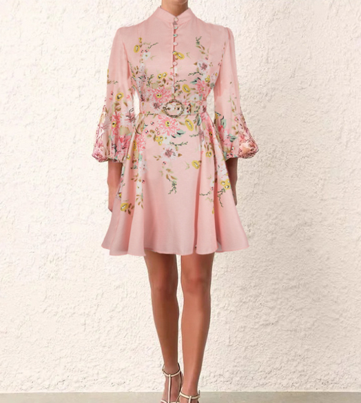Dresses | Women’s Floral Embroidered Puff Sleeve Mini Dress
